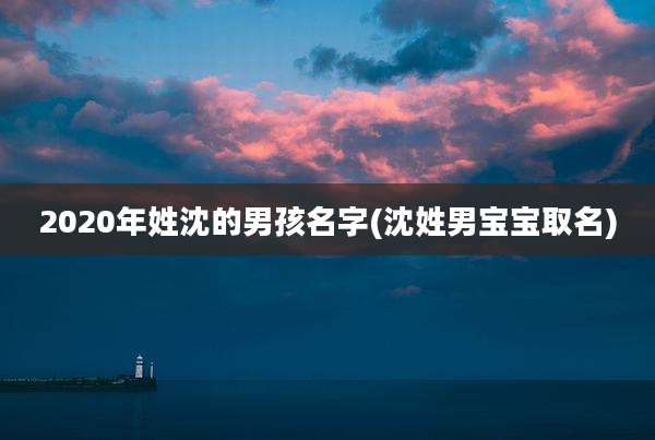 2020年姓沈的男孩名字(沈姓男宝宝取名)