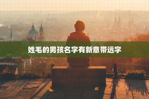 姓毛的男孩名字有新意带远字