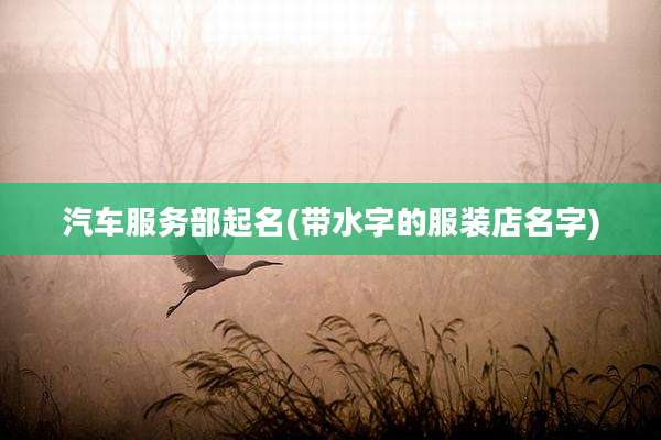汽车服务部起名(带水字的服装店名字)