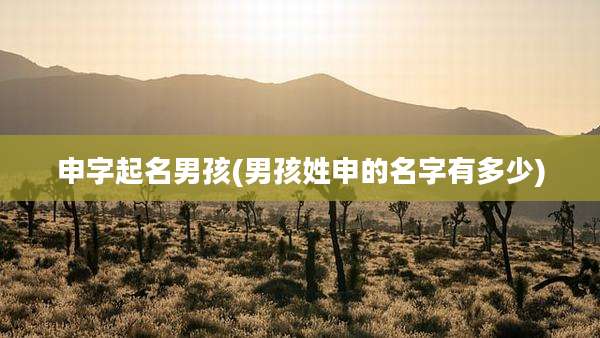 申字起名男孩(男孩姓申的名字有多少)