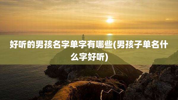 好听的男孩名字单字有哪些(男孩子单名什么字好听)