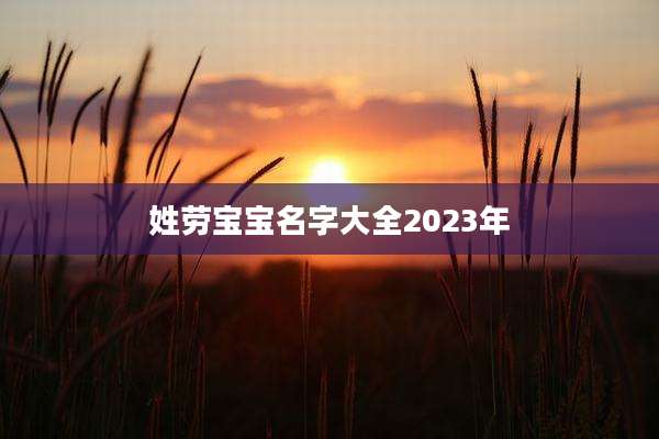姓劳宝宝名字大全2023年