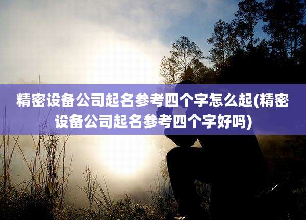 精密设备公司起名参考四个字怎么起(精密设备公司起名参考四个字好吗)