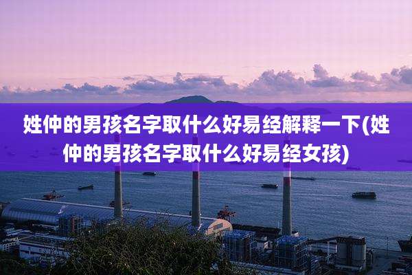 姓仲的男孩名字取什么好易经解释一下(姓仲的男孩名字取什么好易经女孩)