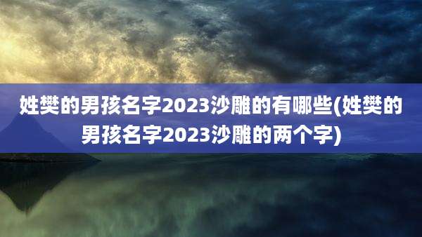 姓樊的男孩名字2023沙雕的有哪些(姓樊的男孩名字2023沙雕的两个字)
