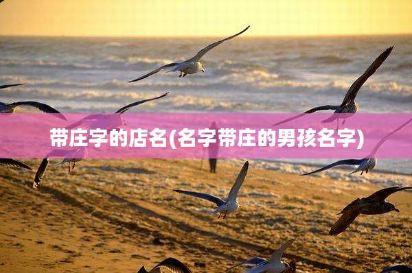 带庄字的店名(名字带庄的男孩名字)
