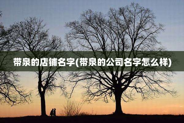 带泉的店铺名字(带泉的公司名字怎么样)