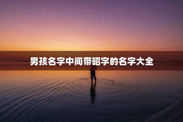 男孩名字中间带昭字的名字大全