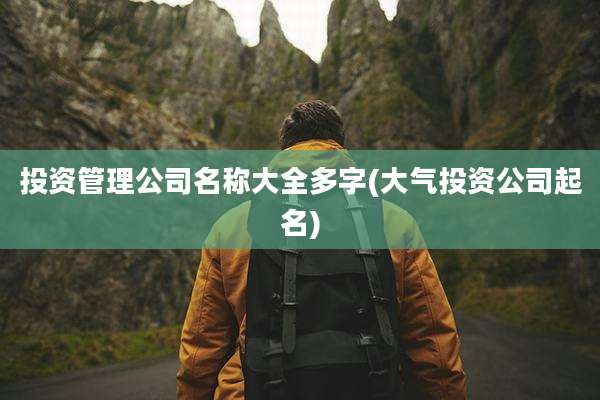 投资管理公司名称大全多字(大气投资公司起名)
