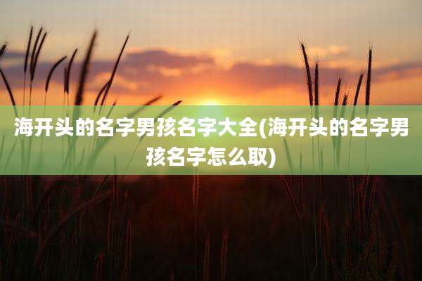 海开头的名字男孩名字大全(海开头的名字男孩名字怎么取)