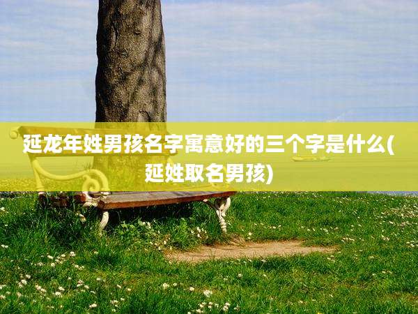 延龙年姓男孩名字寓意好的三个字是什么(延姓取名男孩)