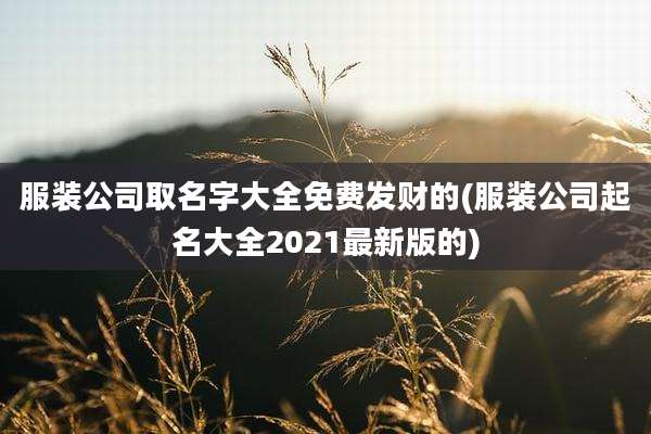服装公司取名字大全免费发财的(服装公司起名大全2021最新版的)