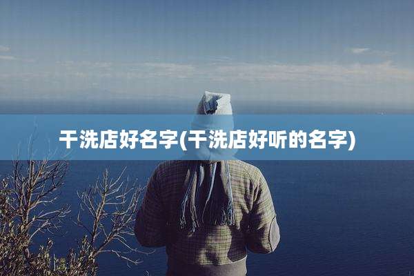干洗店好名字(干洗店好听的名字)