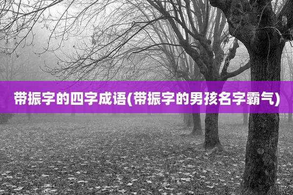 带振字的四字成语(带振字的男孩名字霸气)