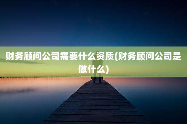 财务顾问公司需要什么资质(财务顾问公司是做什么)