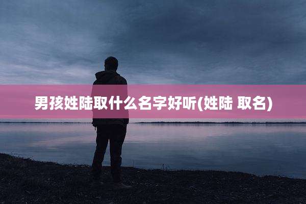 男孩姓陆取什么名字好听(姓陆 取名)