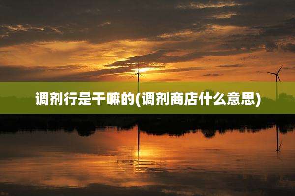 调剂行是干嘛的(调剂商店什么意思)