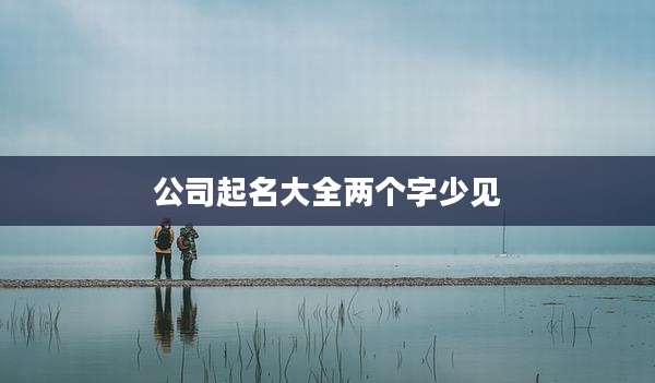 公司起名大全两个字少见