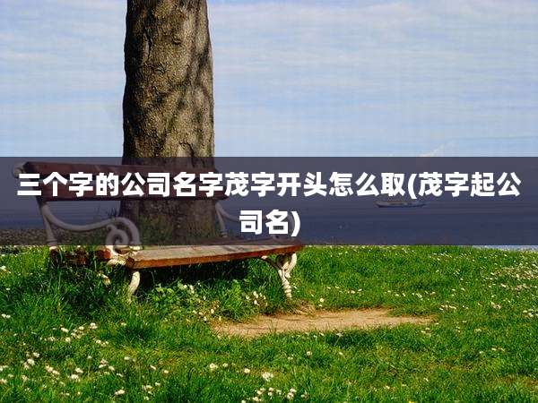 三个字的公司名字茂字开头怎么取(茂字起公司名)