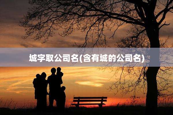 城字取公司名(含有城的公司名)