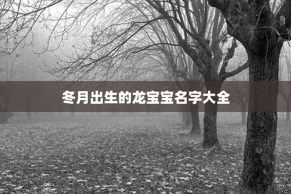 冬月出生的龙宝宝名字大全