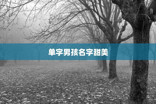 单字男孩名字甜美