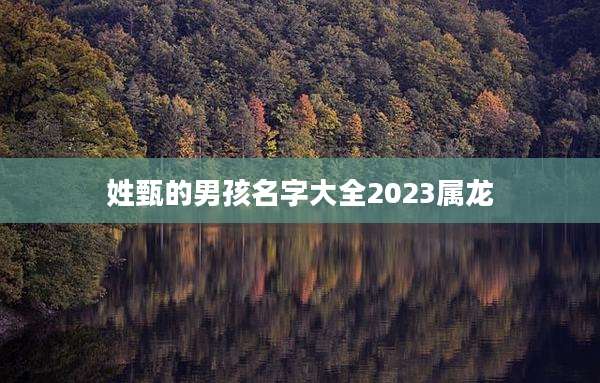 姓甄的男孩名字大全2023属龙