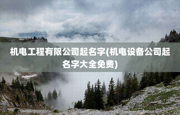 机电工程有限公司起名字(机电设备公司起名字大全免费)