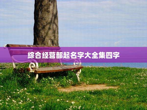 综合经营部起名字大全集四字