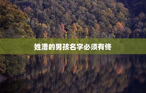 姓漕的男孩名字必须有佟