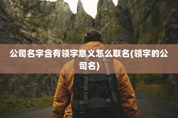 公司名字含有领字意义怎么取名(领字的公司名)