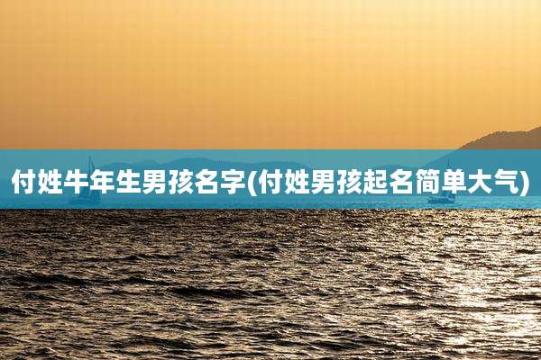 付姓牛年生男孩名字(付姓男孩起名简单大气)