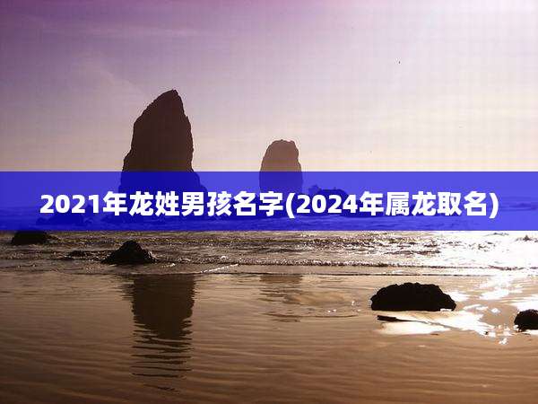 2021年龙姓男孩名字(2024年属龙取名)