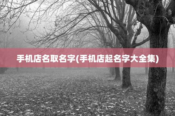手机店名取名字(手机店起名字大全集)