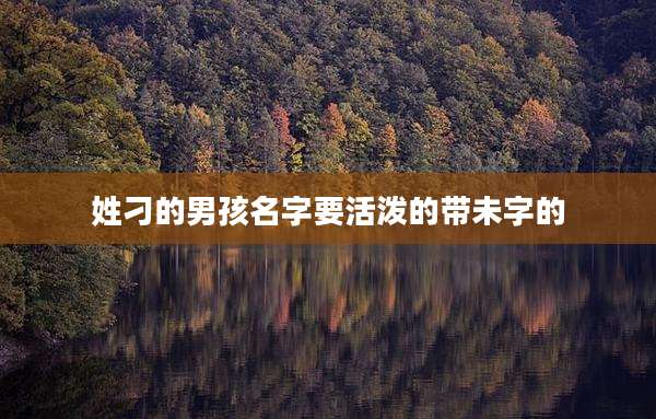 姓刁的男孩名字要活泼的带未字的