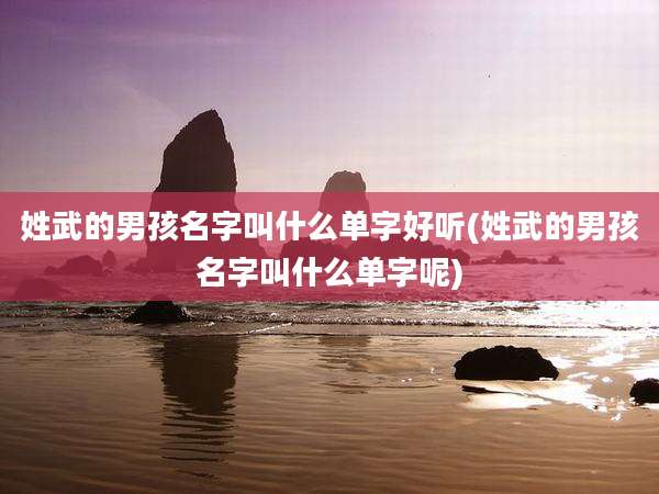 姓武的男孩名字叫什么单字好听(姓武的男孩名字叫什么单字呢)