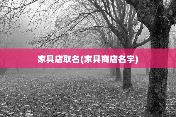 家具店取名(家具商店名字)