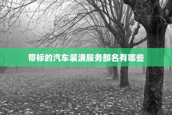 带标的汽车装潢服务部名有哪些