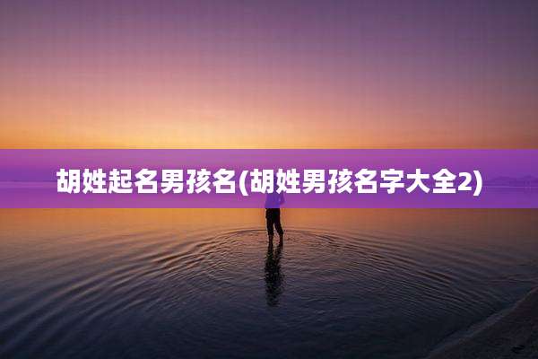 胡姓起名男孩名(胡姓男孩名字大全2)