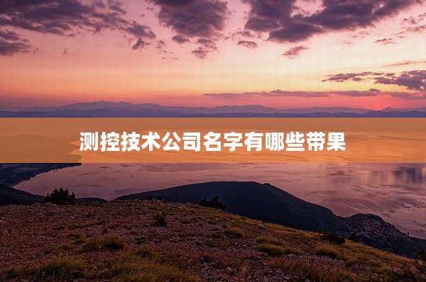 测控技术公司名字有哪些带果
