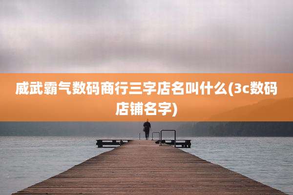 威武霸气数码商行三字店名叫什么(3c数码店铺名字)