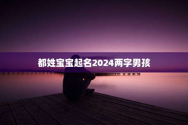 都姓宝宝起名2024两字男孩