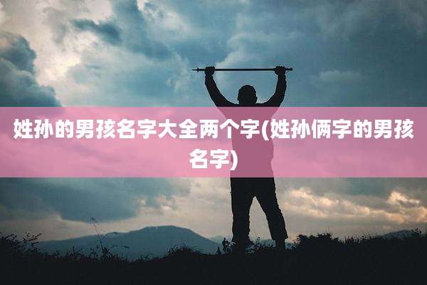 姓孙的男孩名字大全两个字(姓孙俩字的男孩名字)