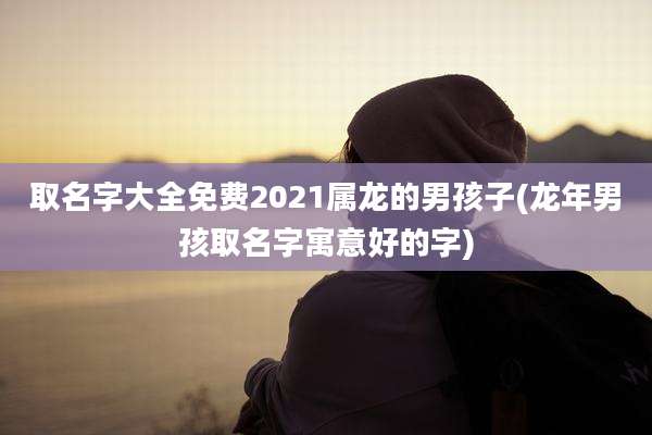 取名字大全免费2021属龙的男孩子(龙年男孩取名字寓意好的字)