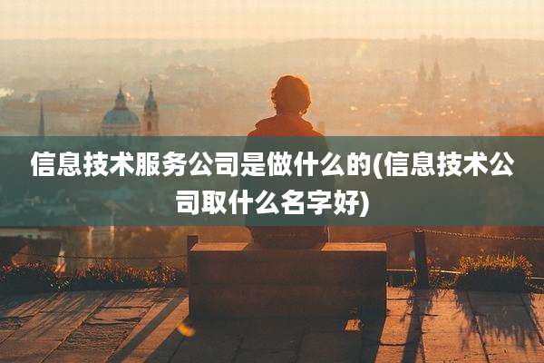 信息技术服务公司是做什么的(信息技术公司取什么名字好)