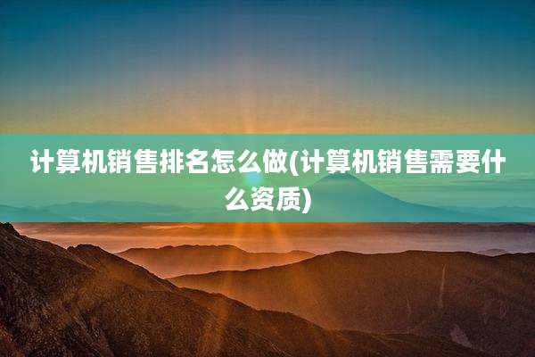 计算机销售排名怎么做(计算机销售需要什么资质)