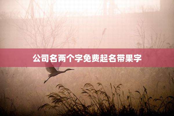 公司名两个字免费起名带果字