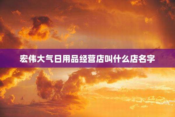 宏伟大气日用品经营店叫什么店名字