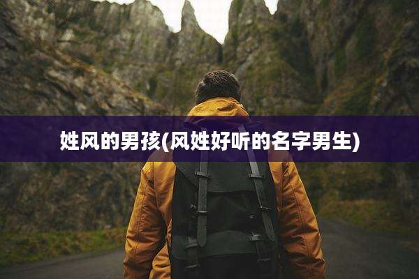 姓风的男孩(风姓好听的名字男生)