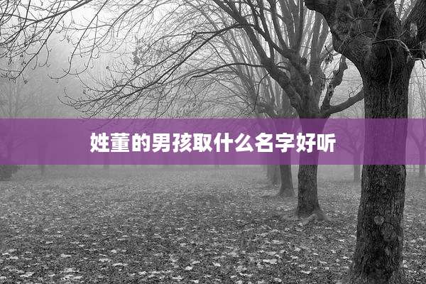 姓董的男孩取什么名字好听